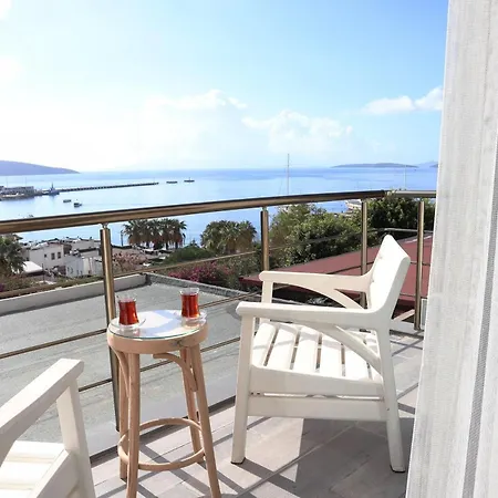 Проживание в семье Dortmevsim