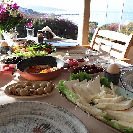 Dortmevsım * Bodrum