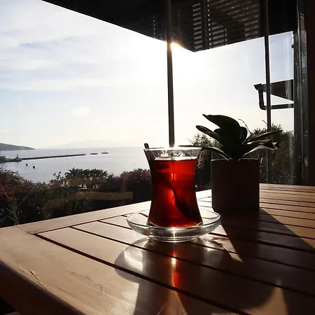 Dortmevsım Pansiyon Bodrum